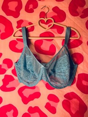 HSIA underwire bra- size 36I